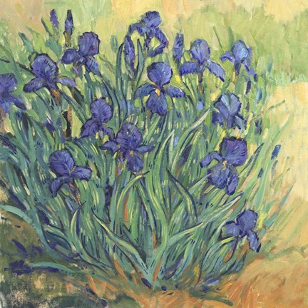 Framed Irises in Bloom II Print