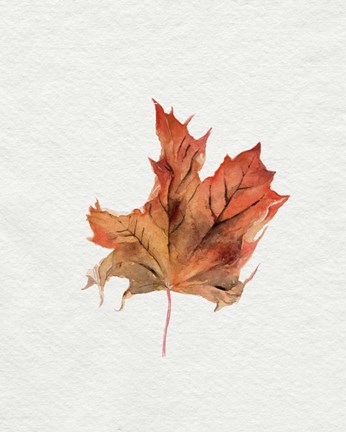 Framed Watercolor Autumn Leaf II Print