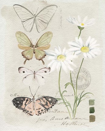 Framed Field Notes Florals IV Print