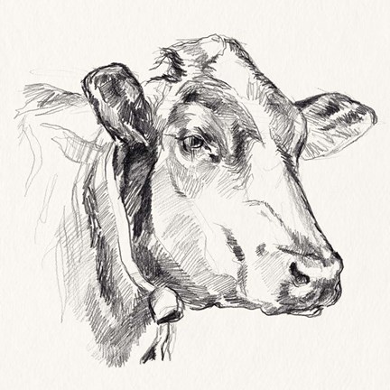 Framed Holstein Portrait Sketch I Print