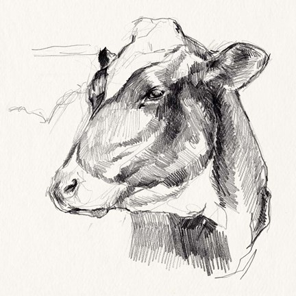 Framed Holstein Portrait Sketch II Print