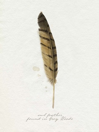 Framed Found Feather III Print