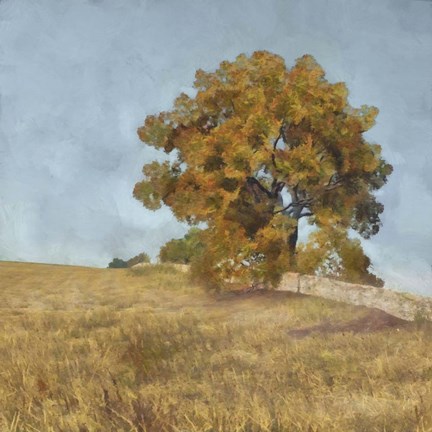 Framed Autumn&#39;s Tranquility I Print