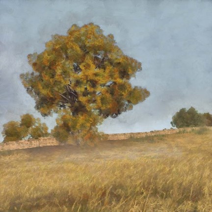 Framed Autumn&#39;s Tranquility II Print