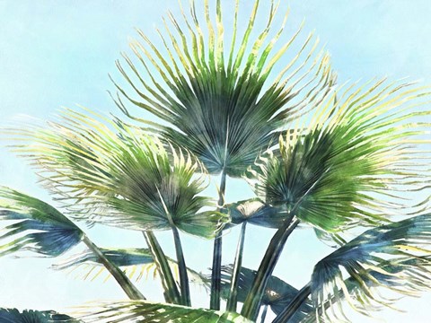 Framed Pleasant Palms II Print