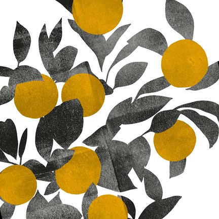 Framed Shadow Branch III Print