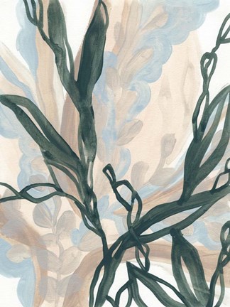 Framed Seaweed Drift I Print