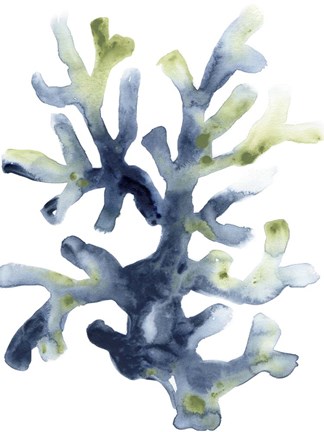 Framed Liquid Coral I Print