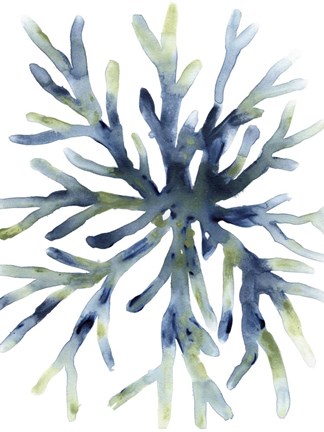 Framed Liquid Coral II Print