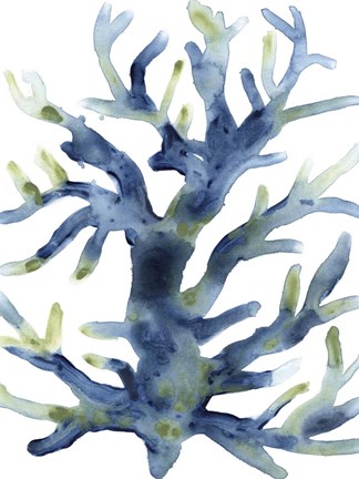 Framed Liquid Coral III Print