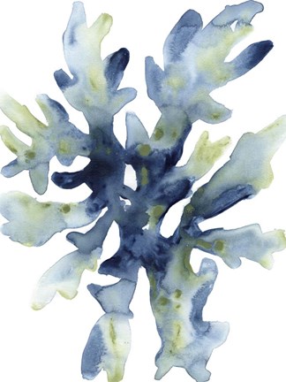 Framed Liquid Coral IV Print