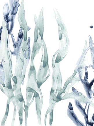 Framed Blue Kelp III Print