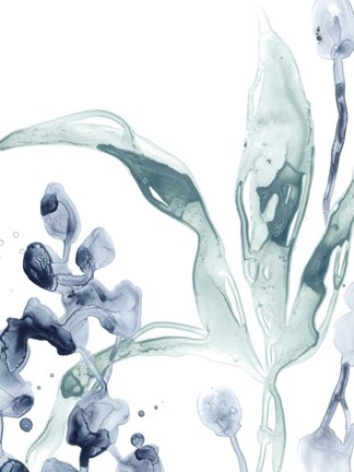 Framed Blue Kelp IV Print