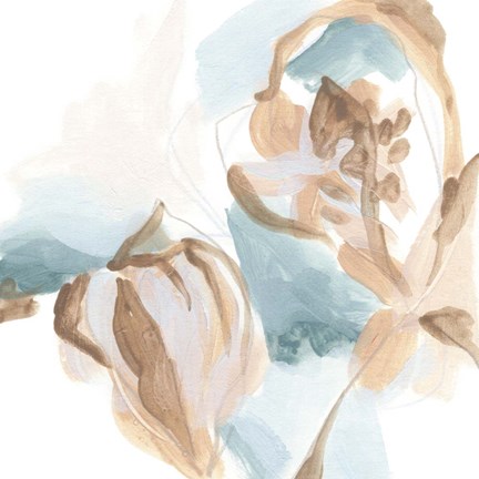 Framed Abstracted Shells IV Print