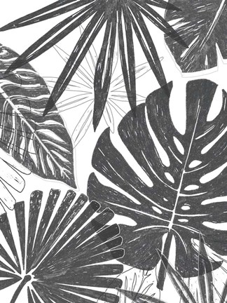 Framed Palm Shadows II Print