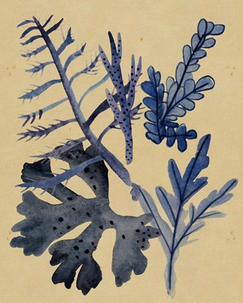 Framed Underwater Forest II Print