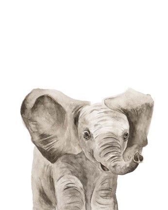 Framed Safari Animal Portraits III Print