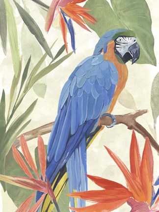 Framed Tropical Parrot Composition IV Print
