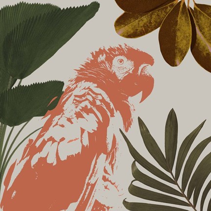 Framed Graphic Tropical Bird I Print