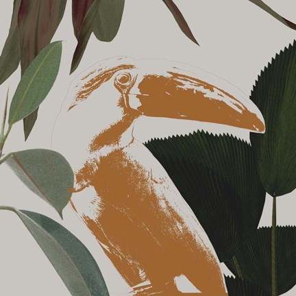 Framed Graphic Tropical Bird III Print