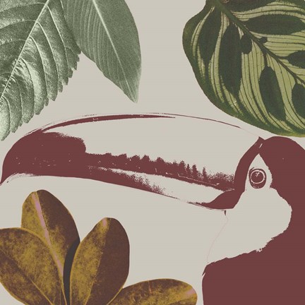 Framed Graphic Tropical Bird V Print