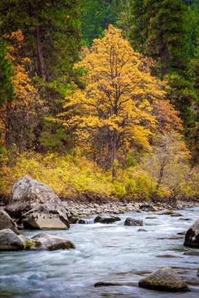 Framed Autumn Across The River Print