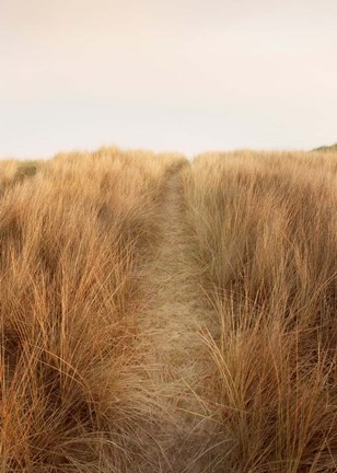 Framed Dunes with Seagulls 6 Print