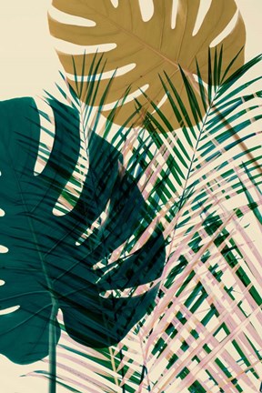 Framed Exsposure 5 Print