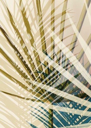 Framed Exsposure 8 Print