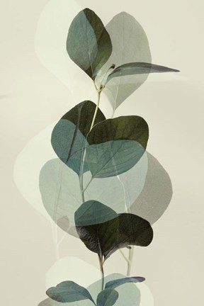 Framed Green Leaves 8 Print