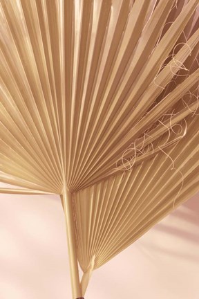 Framed Pastel Fan 1 Print