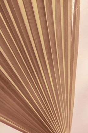 Framed Pastel Fan 2 Print