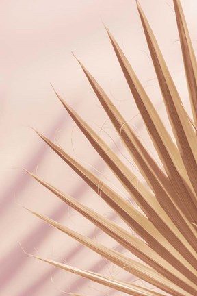 Framed Pastel Fan 4 Print