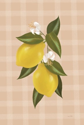 Framed Lemon Botanical II Print