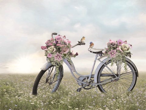 Framed Fragrant Fields Print