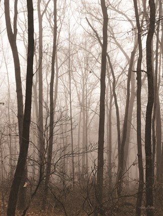 Framed Emptiness Print