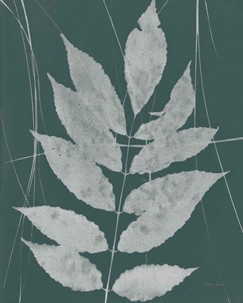Framed Enchanted Fall Cyanotype IX Print