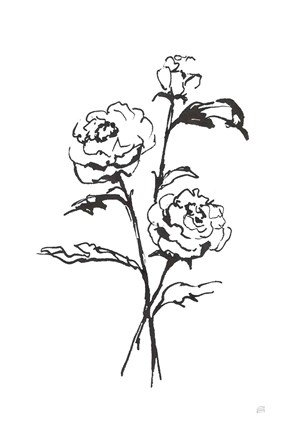 Framed Line Ranunculus I Print