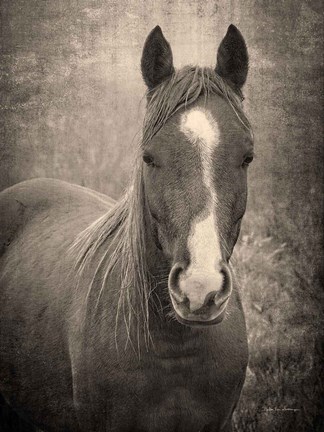 Framed Heres Looking at You II Print