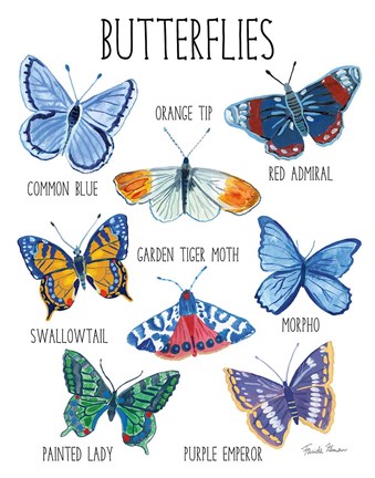 Framed Nature Chart II Print