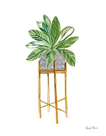 Framed Green House Plants I Print