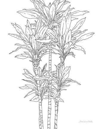 Framed Sketched Tree II Print