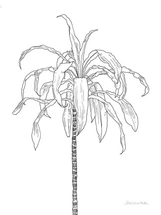 Framed Sketched Tree I Print