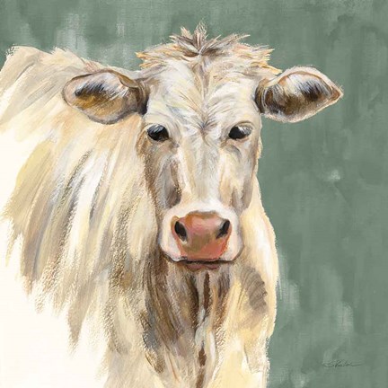 Framed White Cow on Sage Print