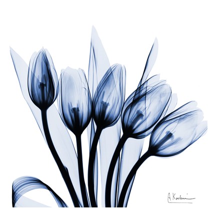 Framed Marvelous Indigo Tulips Print