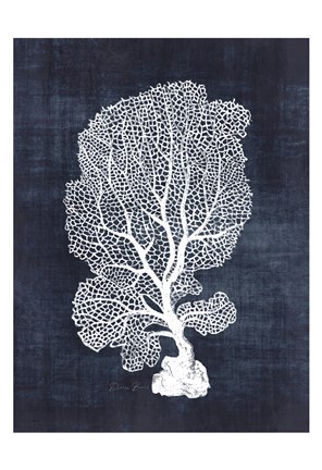 Framed Sea Fan 1 Print
