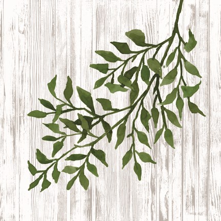 Framed Leaves on White Print