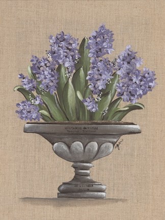 Framed Hyacinth Urn Print