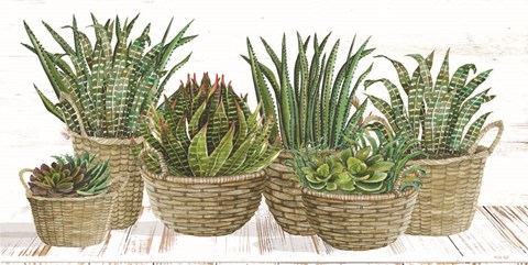 Framed Succulent Baskets Print
