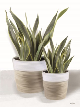 Framed Snake Plant II Print